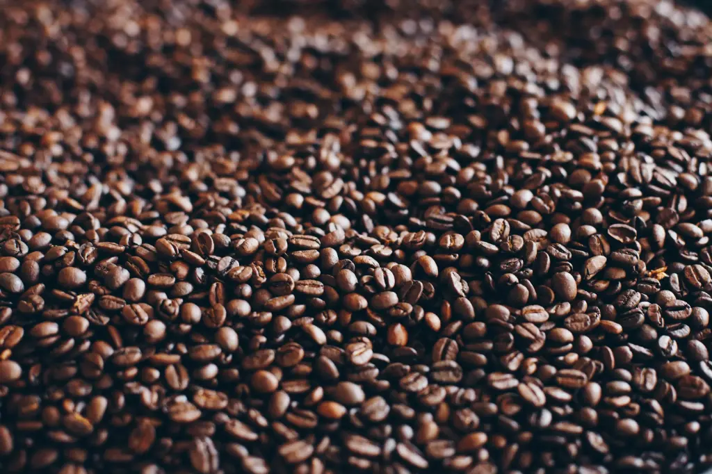 Pacamara - Proceso Honey