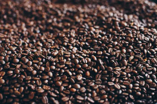 Pacamara - Proceso Honey